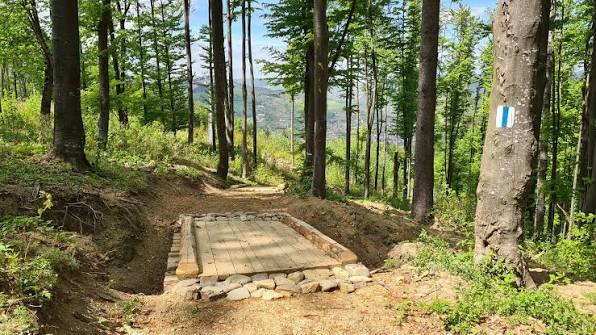 Forest walking trail in Bucovina, Romania