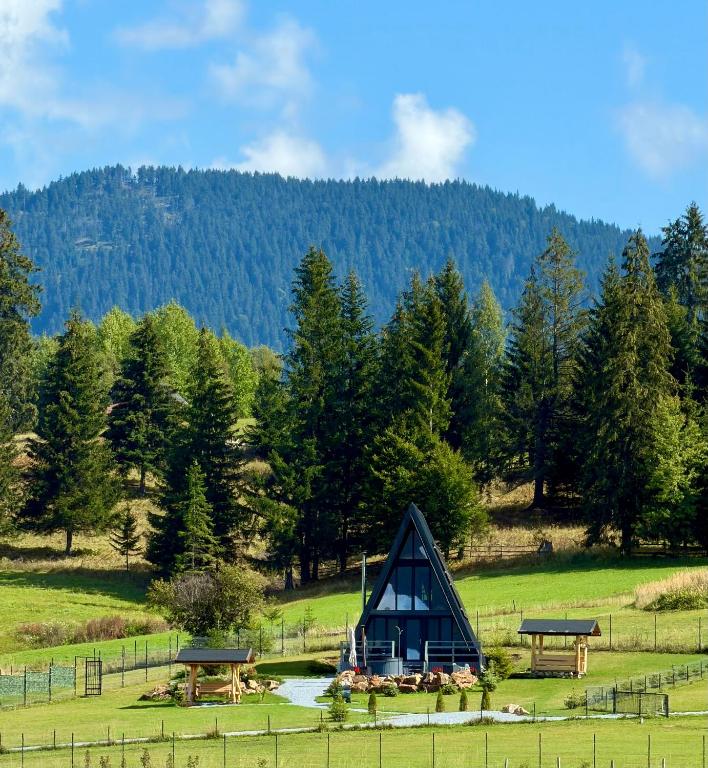 forested mountain landscape in Bucovina, Romania